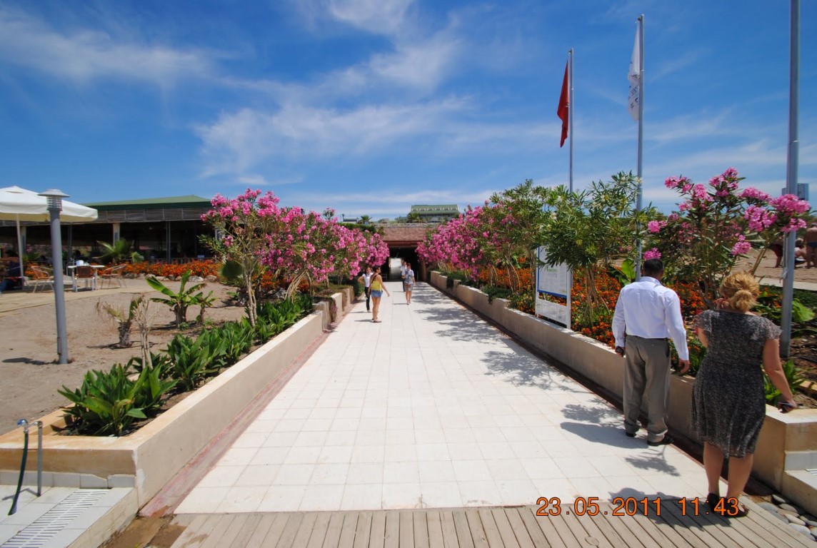 imagini hotel AMELIA BEACH RESORT SIDE